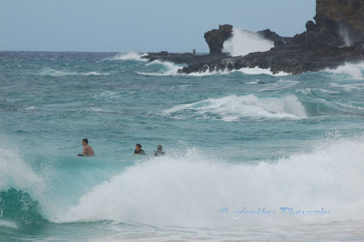 Hawaii1Cs0048.jpg