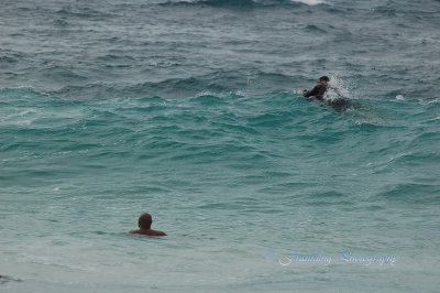 Hawaii1Cs0049.jpg