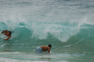 Hawaii1Cs0050.jpg