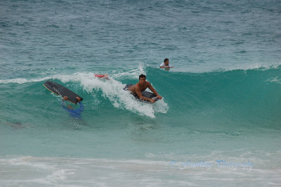 Hawaii1Cs0056.jpg