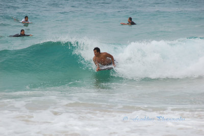 Hawaii1Cs0058.jpg
