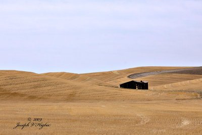 Old Palouse Shed