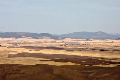 Palouse