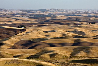 Palouse