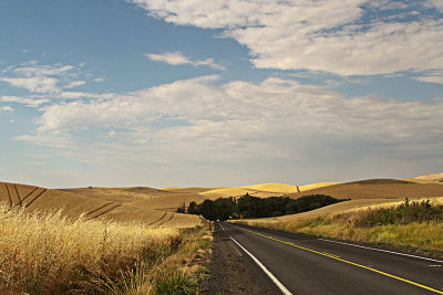 A Palouse Road