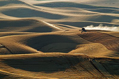 Harvesting