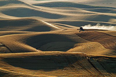 August Palouse