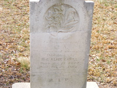 2009_0311stjosmtholly0032.JPG