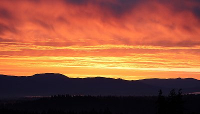 IMG_0567  C4sunrise11_1.jpg