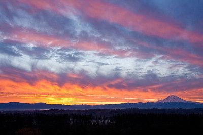 IMG_0591ACR_sunrise.jpg