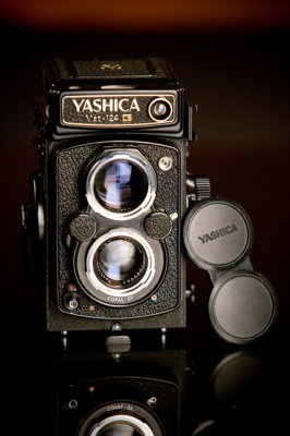 yashica