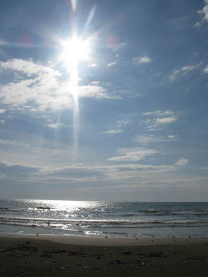 g1/56/28456/3/106201221.k8YclUqJ.jpg