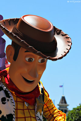 Woody at Magic Kingdom