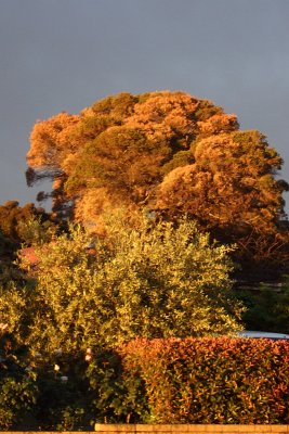 Across the road from us