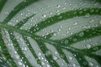 At last good soaking rain