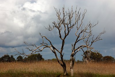 The poetry of the earth is never dead. -John Keats