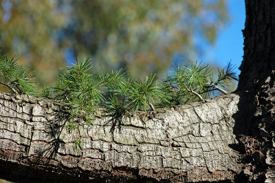 g1/56/398356/3/125708058.YMOzRurW.jpg