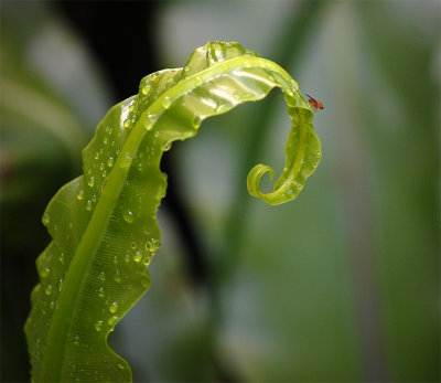 Inside myself is a place where I live all alone and that's where you renew your springs that never dry up. - Pearl Buck