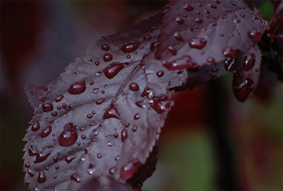 Know, first, who you are; and then adorn yourself accordingly. -Epictetus