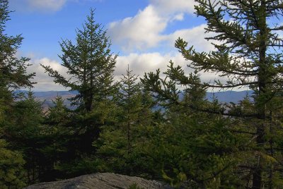 Ridge line on Lincoln Gap, Green Mountains, Vermont