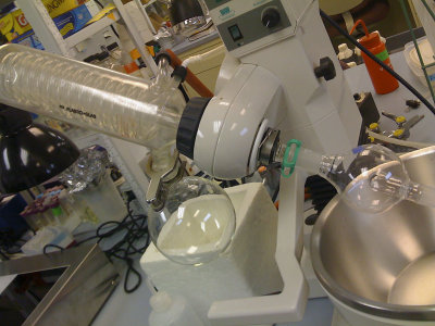 Fermalogic lab