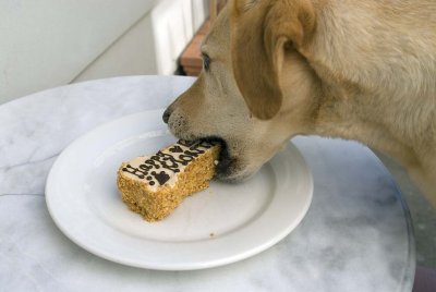 Montana's 8th Birthday