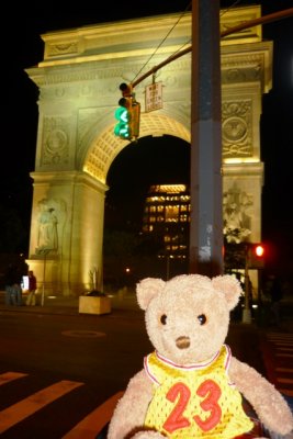 Park that Bear!
