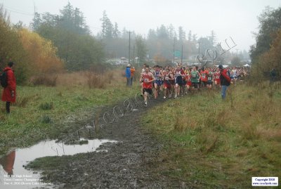 10BCHSXC-0586.JPG