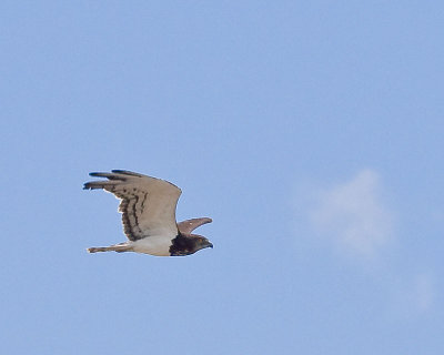 30D_21023.jpg