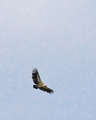 30D_21396.jpg