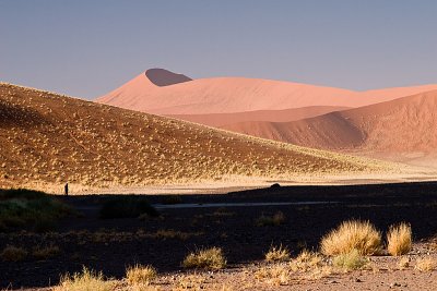 30D_20112.jpg