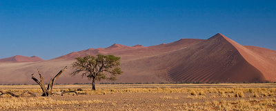 30D_20113.jpg