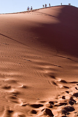 30D_20115.jpg