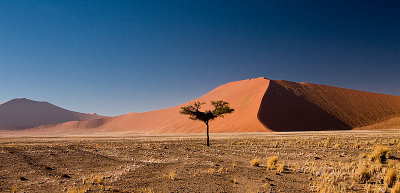 30D_20119.jpg