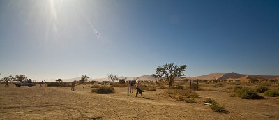 5D_10161.jpg