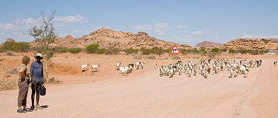 5D_10450.jpg