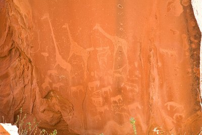 5D_10455.jpg