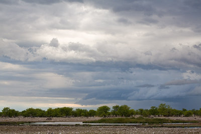 5D_10730.jpg