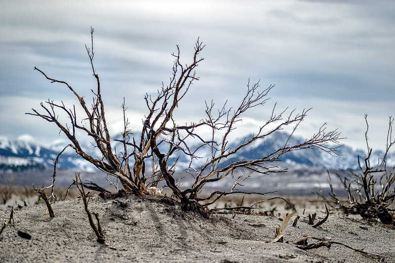 Mono Lake Basin