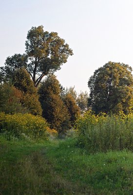 Huta Krysztalowa