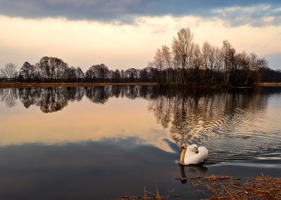 Ponds in Ossow