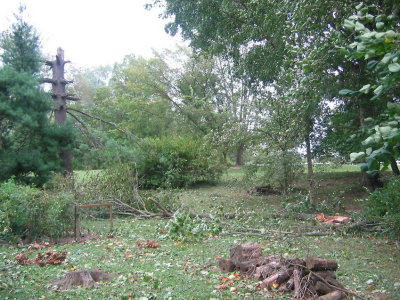 Sept 2008 Windstorm