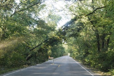 Sept 2008 Windstorm