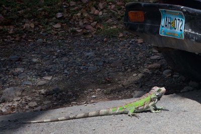 st_john_usvi