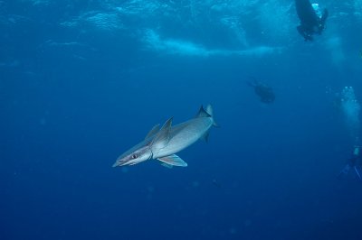 DSC_6894.jpg