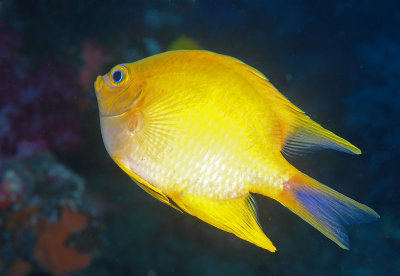 DSC_7943.jpg