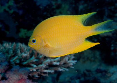 DSC_7947.jpg