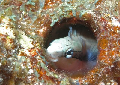 DSC_7976.jpg