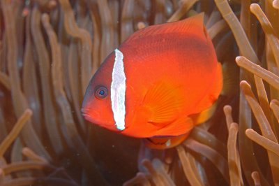 DSC_8039.jpg