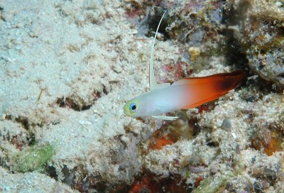 DSC_8047.jpg